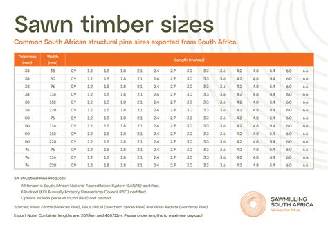 south african standard for meters